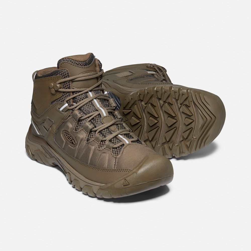 Botas de Seguridad Keen Mexico Marrom - Hombre Targhee Exp Waterproof Mid - ZQ4709632